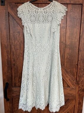 Cap-Sleeve Lace Midi Dress in Light Sage by